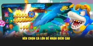 Cách Chơi Bắn Cá Đại Dương 8Day Thành Công Cho Người Chơi Mới