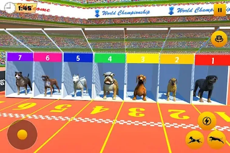 Cách Chơi Game Nhanh Đua Chó Tại 8Day Để Tăng Tỷ Lệ Thắng
