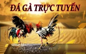Cách Chơi Đá Gà 3D Tại 8Day Dẫn Đầu Xu Hướng Giải Trí