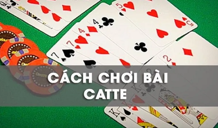 Hướng Dẫn Chơi Sắc Tê 8Day Dành Cho Người Mới Tham Gia