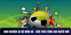 Cá Cược Bóng Đá 8Day Dẫn Đầu Xu Hướng Giải Trí Trực Tuyến 2025